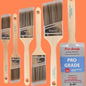 Pro Grade Paint Brushes 6 Pack